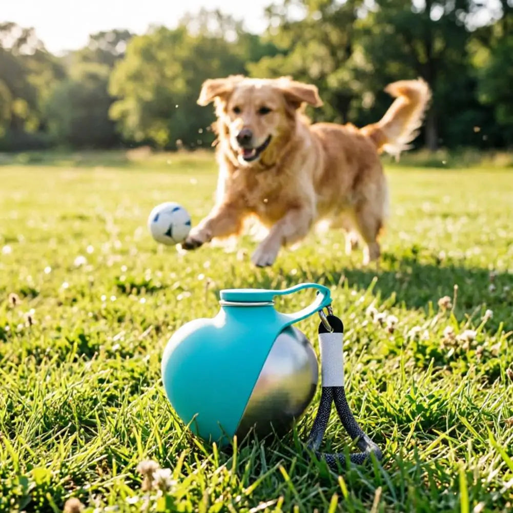 Botella dispensadora de agua para perros con cuenco corazón