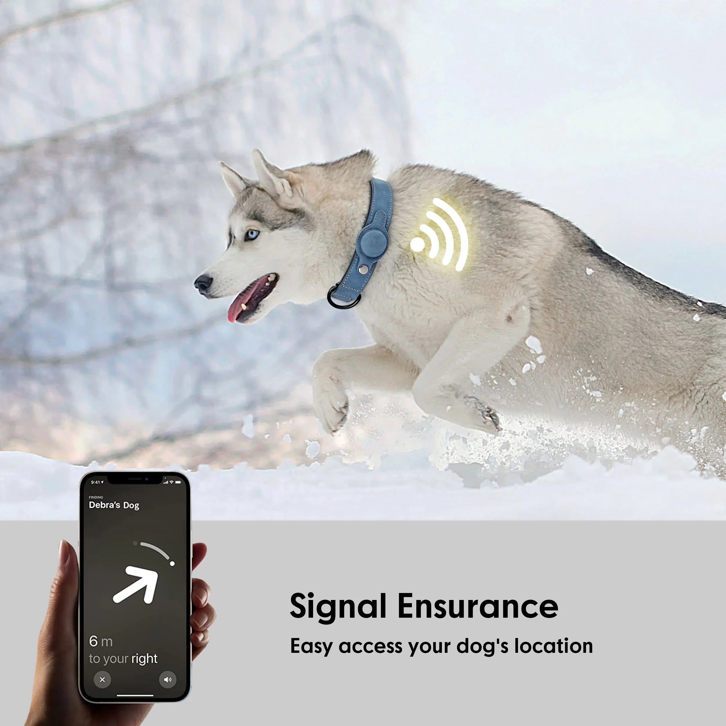 Collar de Cuero Premium Antiperdida (Compatible con Localizador GPS)