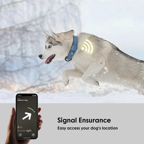 Collar de Cuero Premium Antiperdida (Compatible con Localizador GPS)